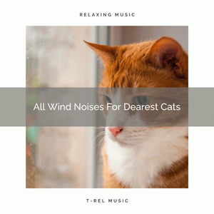 Total Wind Sounds For Our Cats