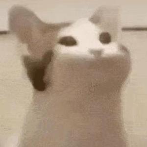 PoPO!(1)