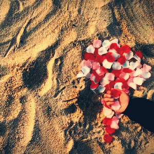 후일담[後日譚]