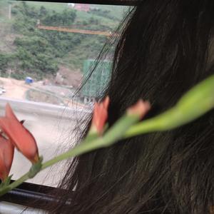 无-优优优（DR_AkaTuAraBed remix）