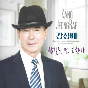 우연히 정들었네 (Cover Ver.)