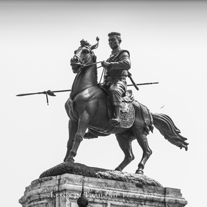 野百合也有春天