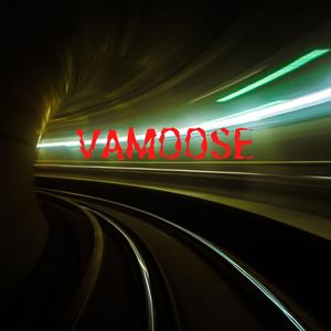 VAMOOSE