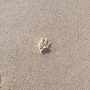 浪子回头（冰冰特制铃声）