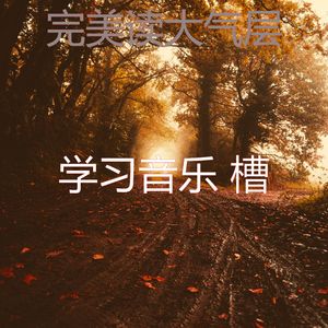 优美正在学习器乐