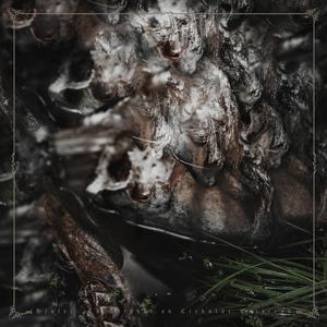 Hjulet: En Evighet av Cirkulär Existens