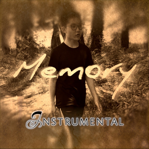 Memory（Instrumental）