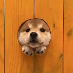 ᴸᵒᵛᵉ ʸᵒᵘ_1