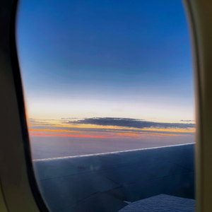 我有一千万片梧桐