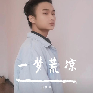 晚夜微雨问海棠