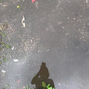 Raindrops falling from the sky