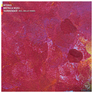 Surrender (Malley Remix)