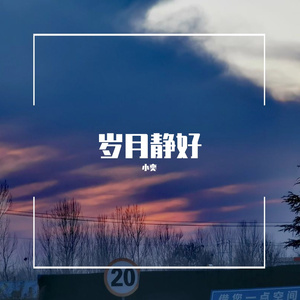 至此流年各天涯