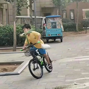 想在夏日撞见你