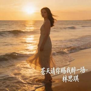 苍天请你赐我醉一场