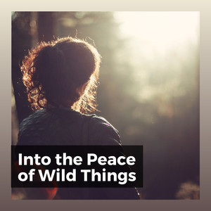 Some Calm Music