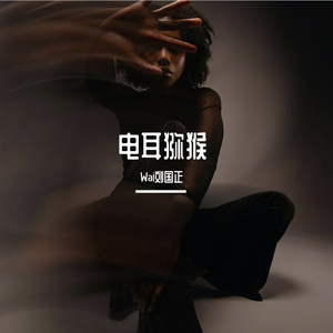 电耳猕猴prod by SKY(花花最可爱）