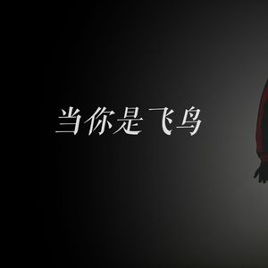 当你是飞鸟