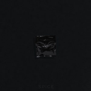 Spice (Original Mix)
