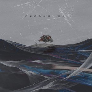 后来的你在哪 (DJ沈念版)