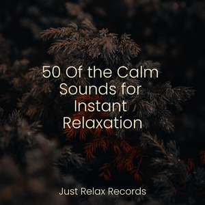 Whispers of Summer's End