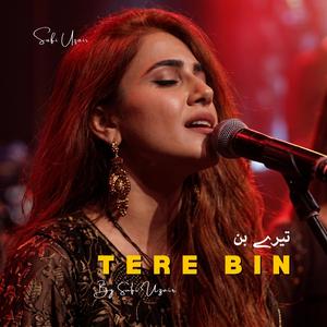 Tere Bin