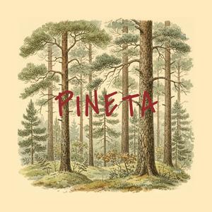 Paletta e Secchiello