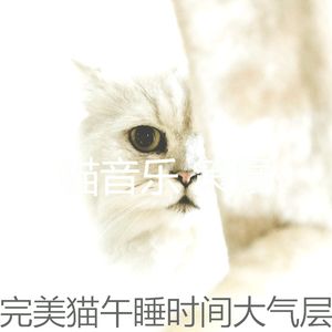 微妙的睡猫心情