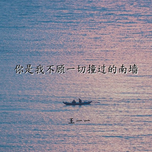 你是我不顾一切撞过的南墙