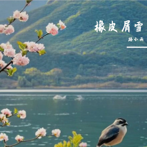 橡皮屑雪