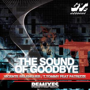 Sound of Goodbye (Danny Leblack Remix)