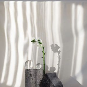 蓝尹雪 (古筝冥想)