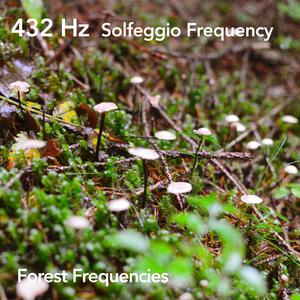 432 Hz Heart Beat of Earth