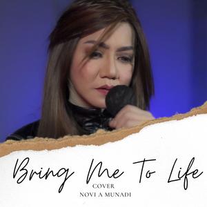 Bring Me To Life