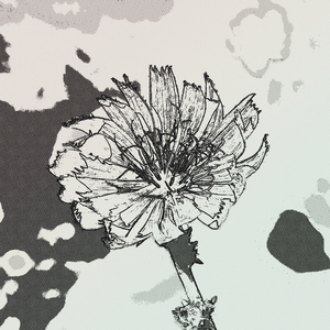 Keep Me In Your Sight