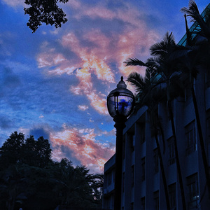 Merry Xmas Miss Chan 2.0