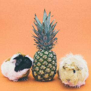 (Free beat)练习freestyle