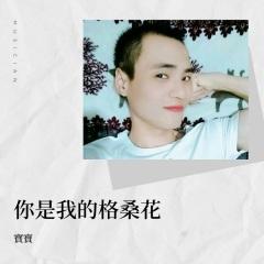 你是我的格桑花(重制版) (Demo)