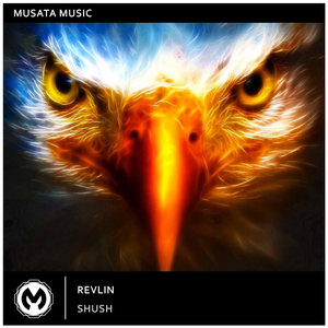 Shush (Original Mix)