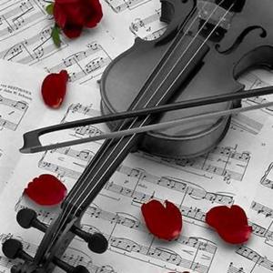 Secret lover advert vlog