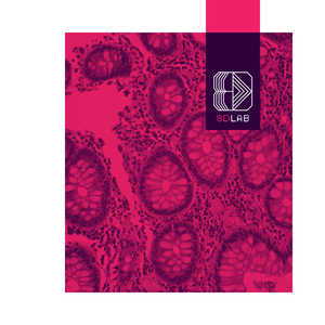 Мрійлива Атмосфера