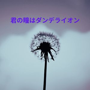 君の瞳はダンデライオン