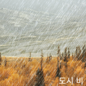 도시 비