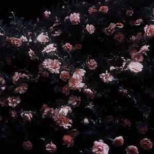 恋花余白 ～ What Remains(Instrumental)