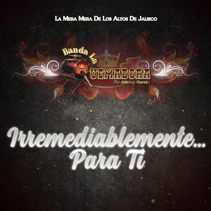 Irremediablemente