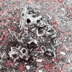 Дым и туман