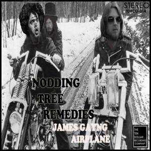 James Gayng Airplane