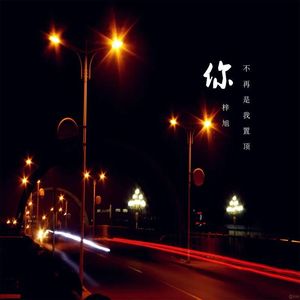 你不再是我置顶