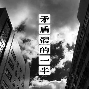 矛盾体的一半