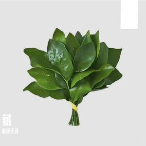 相纸背面的永远